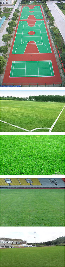 天然草足球場(chǎng)施工