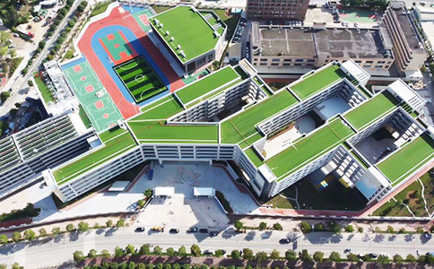 塑膠籃球場運動場